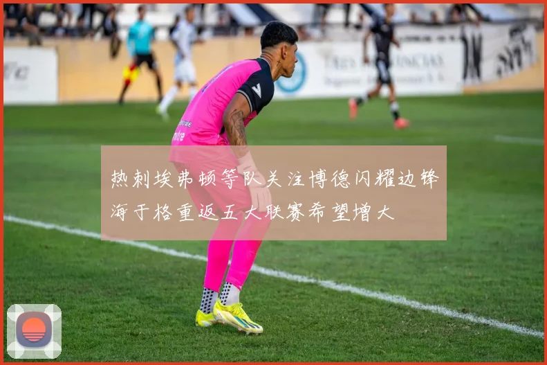 热刺埃弗顿等队关注博德闪耀边锋海于格重返五大联赛希望增大