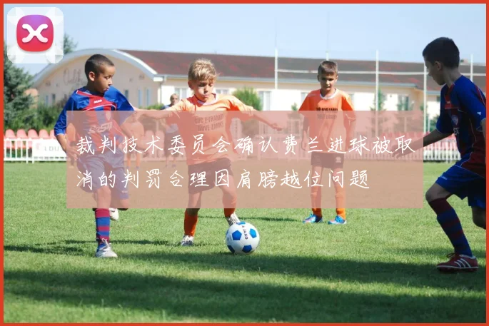 裁判技术委员会确认费兰进球被取消的判罚合理因肩膀越位问题