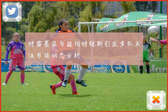 特雷墨菲与赫伯特琼斯引发多队关注市场动态分析