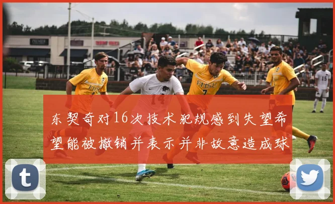 东契奇对16次技术犯规感到失望希望能被撤销并表示并非故意造成球队困扰